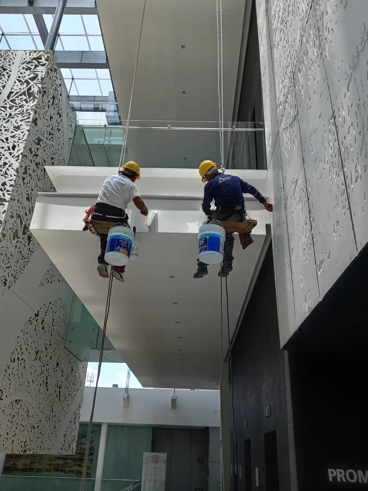 Personal realizando trabajos de limpieza en altura
